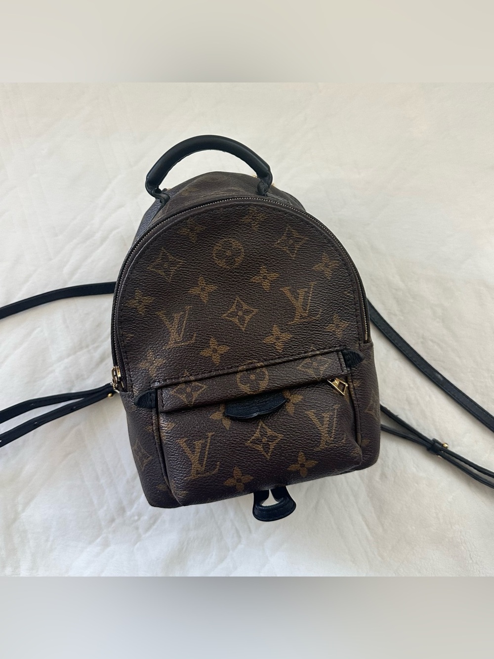Louis Vuitton Palm Springs Mini Backpack Monogram Brown Leather Crossbody Bag